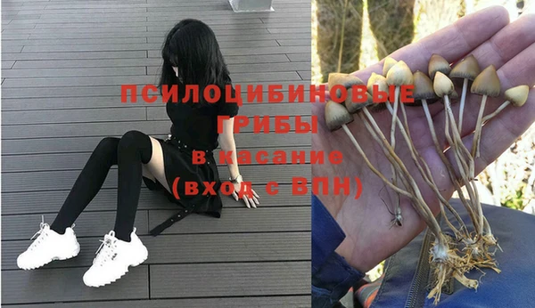 кристаллы Вяземский