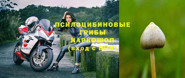 дурь Вязьма