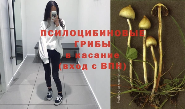 дурь Вязьма