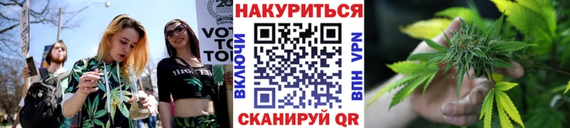 сайты даркнета клад  продажа наркотиков  Далматово  Бошки марихуана гибрид 